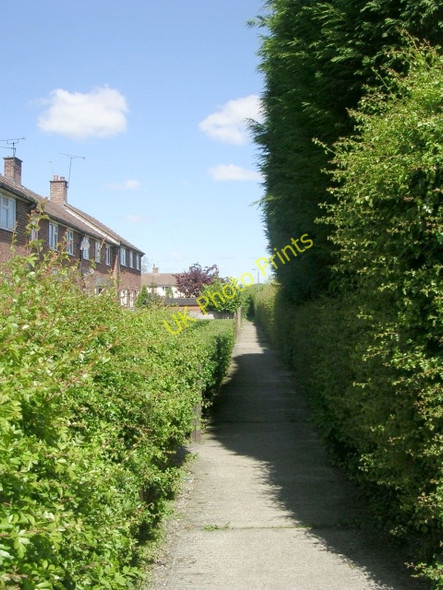 Photo 6"x4" Eastfield Walk - York Road Tadcaster c2009
