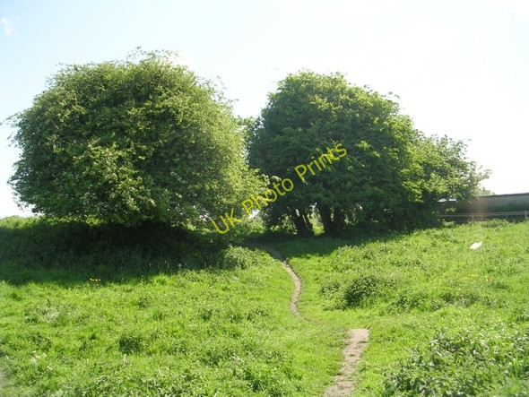Photo 6"x4" Footpath - Old Brewery Gardens, York Road Tadcaster c2009