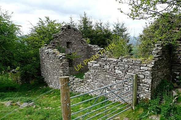 Photo 6"x4" Above Dan-y-cefn Llangenny c2009