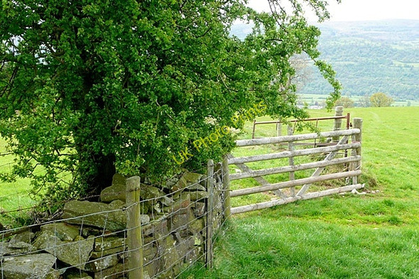 Photo 6"x4" Above Dan-y-cefn Llangenny c2009 P1