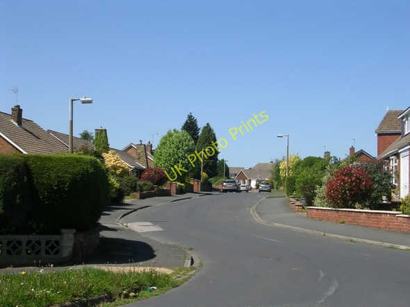Photo 6"x4" Willow Rise - Calcaria Crescent Tadcaster c2009