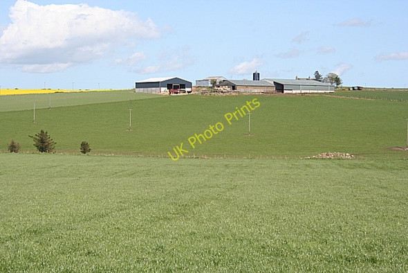 Photo 6"x4" Looking Towards Cortiecram Backhill of Fortrie c2009