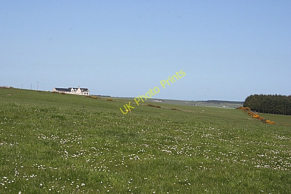 Photo 6"x4" Brown Hill Berefold c2009