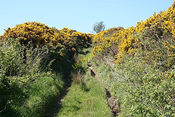 Photo 6"x4" Track or Path? Broomfield\/NJ9532 c2009