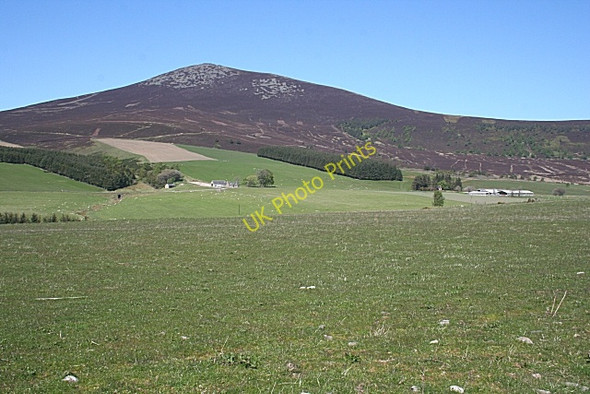 Photo 6"x4" Looking Towards Ben Rinnes Burn of Favat\/NJ2733 c2009