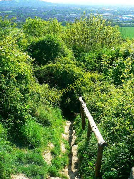 Photo 6"x4" Footpath to the south-west down Churchdown Hill Hucclecote c2009