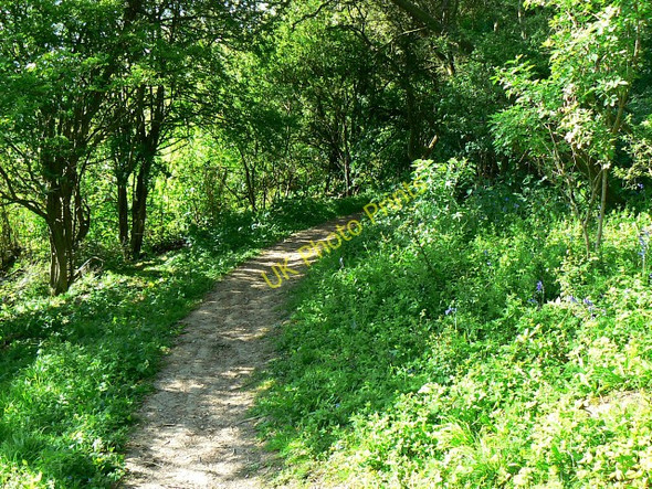 Photo 6"x4" Footpath to Tinker's Hill and Churchdown Churchdown c2009