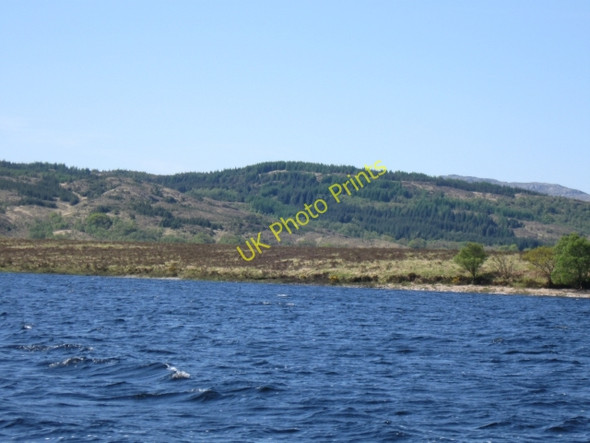 Photo 6"x4" Edge of Rubha Daraich, south side Loch Shiel Dalelia c2009