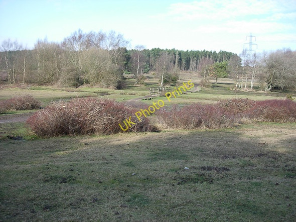 Photo 6"x4" Footbridge in Dibden Bottom Applemore c2009