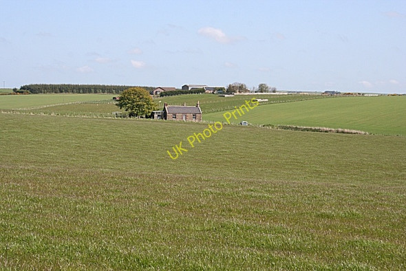 Photo 6"x4" Near Meikle Northburn Greens\/NJ8346 c2009