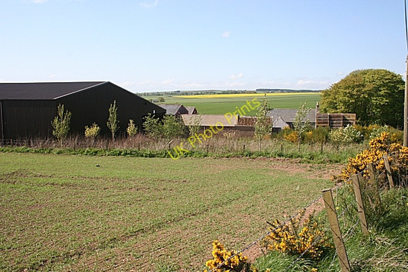 Photo 6"x4" Northburn Farm Greens\/NJ8346 c2009