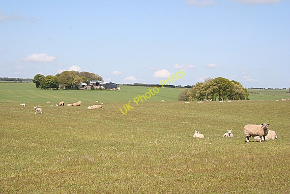 Photo 6"x4" Moss-side of Allathan Greens\/NJ8346 c2009