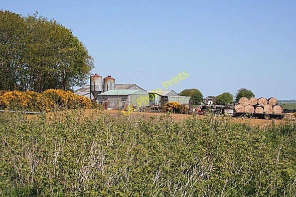 Photo 6"x4" Burnside of Gight Cottown\/NJ8240 c2009