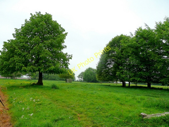 Photo 6"x4" Killerton Park Beare\/SS9800 c2009