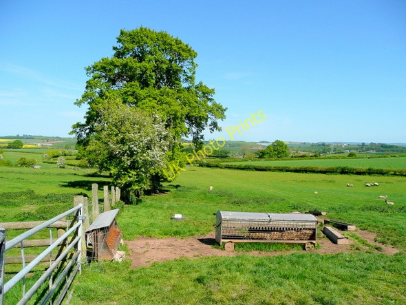 Photo 6"x4" Upper Monkton 1 Hill Gate c2009
