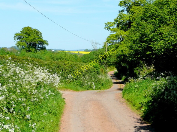 Photo 6"x4" Monkton Lane Hill Gate c2009