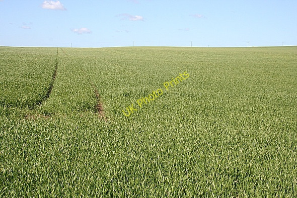Photo 6"x4" Cereal Crop Middlemuir\/NJ8643 c2009