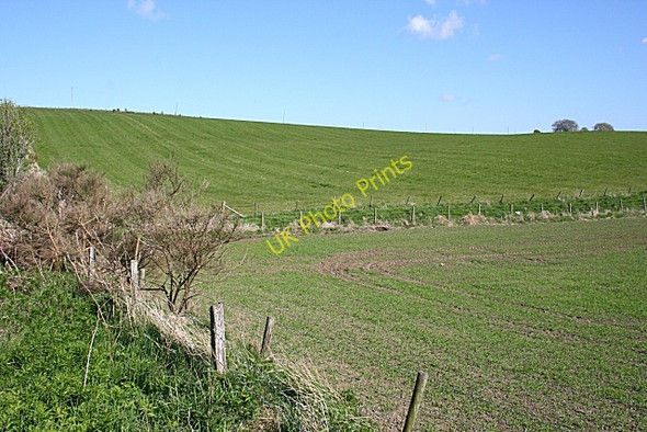 Photo 6"x4" Near Knaps of Bedlam Middlemuir\/NJ8643 c2009