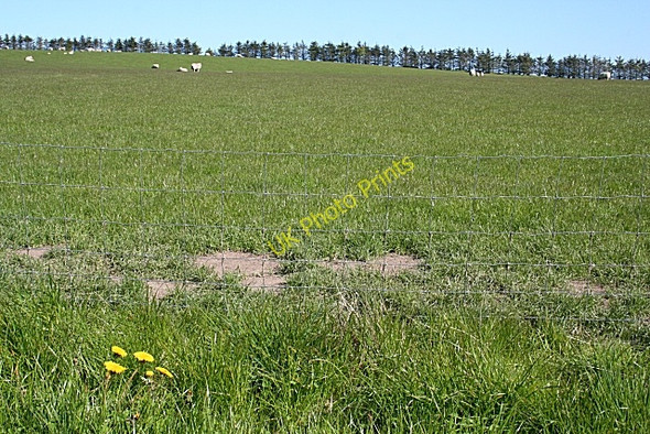 Photo 6"x4" Near Knaps of Bedlam Middlemuir\/NJ8643 c2009 P1