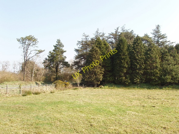 Photo 6"x4" Trees and pasture on Forth Commons Murntown c2009