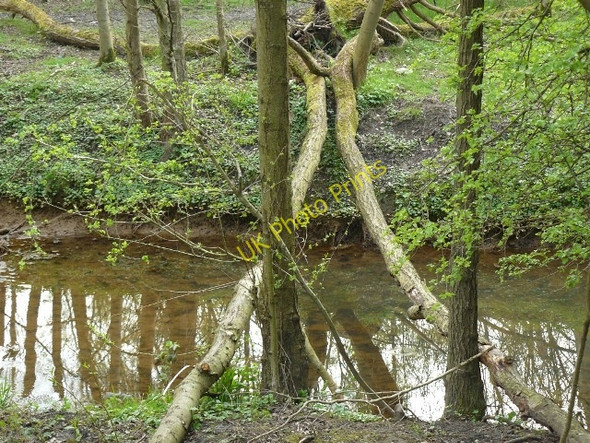 Photo 6"x4" Brook by the Nutbrook Trail Ilkeston c2009