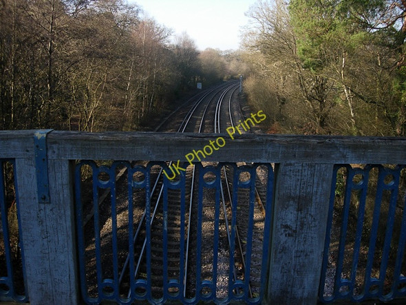 Photo 6"x4" Railway towards Southampton Ashurst\/SU3310 c2009