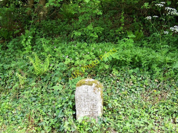 Photo 6"x4" Milestone, Webberton Cross Clapham\/SX8987 c2009