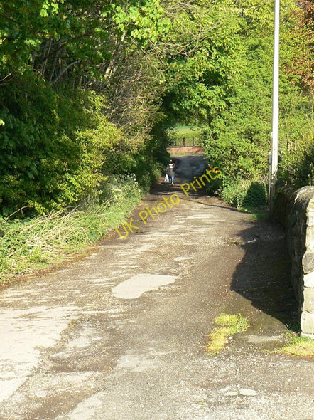 Photo 6"x4" Butterley Lane Ripley\/SK4050 c2009