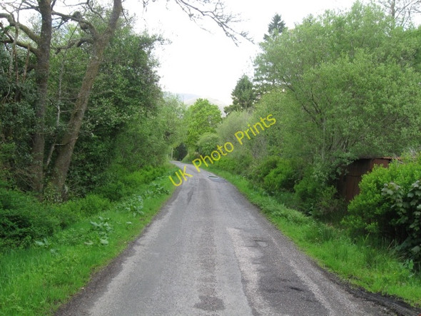 Photo 6"x4" B8077, Stronmilchan, Strath of Orchy Stronmilchan c2009