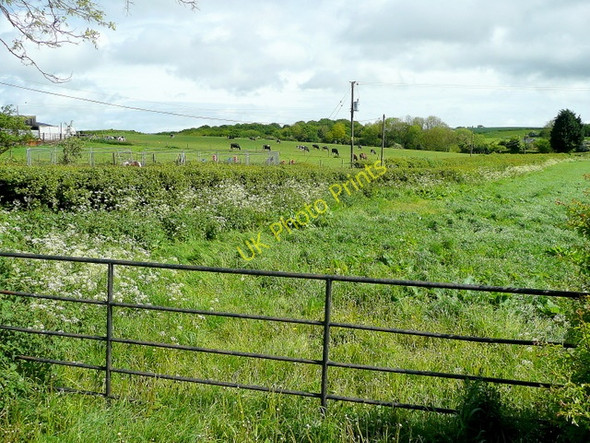 Photo 6"x4" Dairy land adjacent to Lower Weston Farm Ross-on-Wye c2009