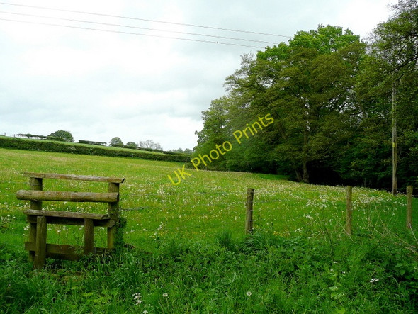 Photo 6"x4" Pasture by the Llantywaun Brook Broad Oak\/SO4821 c2009