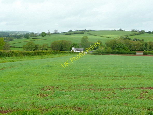 Photo 6"x4" View north from the B4521 Broad Oak\/SO4821 c2009