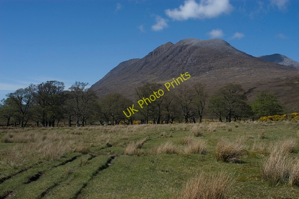 Photo 6"x4" Track to Achneigie Abhainn Loch an Nid c2009