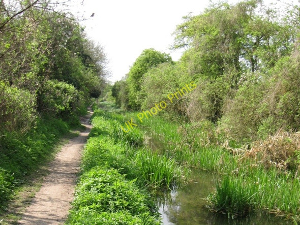Photo 6"x4" Wendover Arm: The reeds continue Wendover c2009