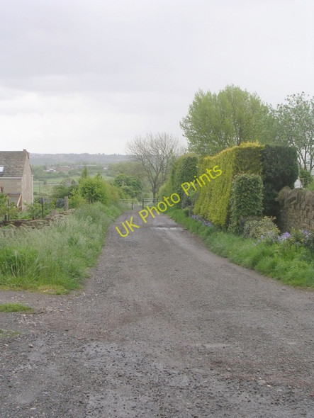 Photo 6"x4" Bridleway - Scholes Lane Cleckheaton c2009
