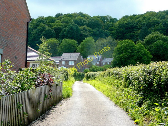Photo 6"x4" Bridleway to Lining Wood Mitcheldean c2009