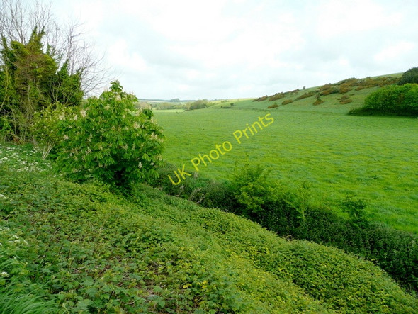 Photo 6"x4" Winterborne valley Martinstown or Winterbourne St Martin c2009