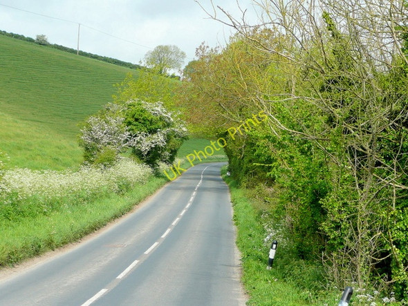 Photo 6"x4" B3159 heading towards Martinstown Martinstown or Winterbourne St Martin c2009