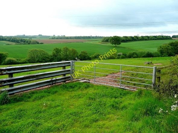 Photo 6"x4" View over the Llanerch Brook valley Penguithal c2009