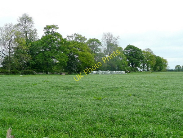 Photo 6"x4" Grassland at The Pleck Welsh Newton c2009