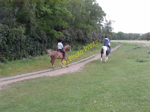 Photo 6"x4" Horse riders by Pond Plantation, Richmond Park Kingston Upon Thames c2009