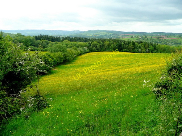 Photo 6"x4" The Monnow valley 3 St Maughans Green c2009