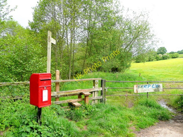 Photo 6"x4" Red, gold and green St Maughans Green c2009