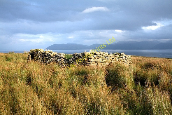 Photo 6"x4" Old Croft at Oragaig. Claonaig c2007