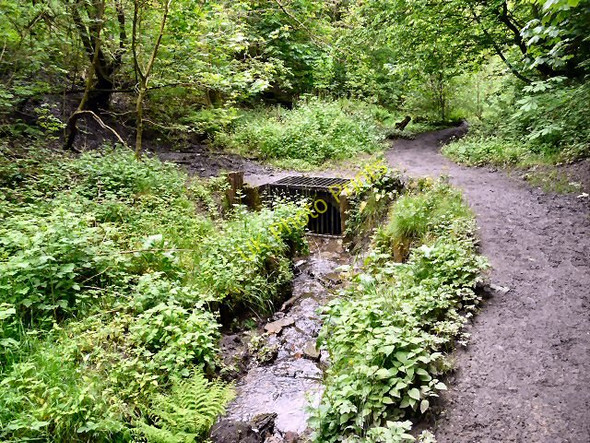 Photo 6"x4" Gower Hey Brook Culvert Hyde\/SJ9494 c2009