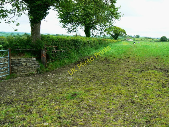 Photo 6"x4" Farmland north of the A40, near Pwll-Trap Pwll-trap c2009