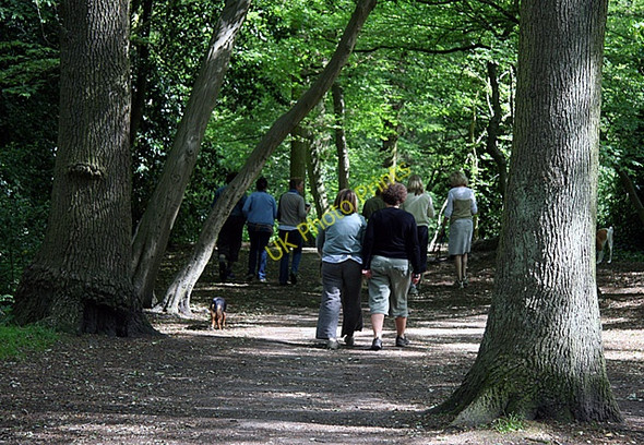 Photo 6"x4" Dog Walking Party in Highgate Wood Hornsey c2009