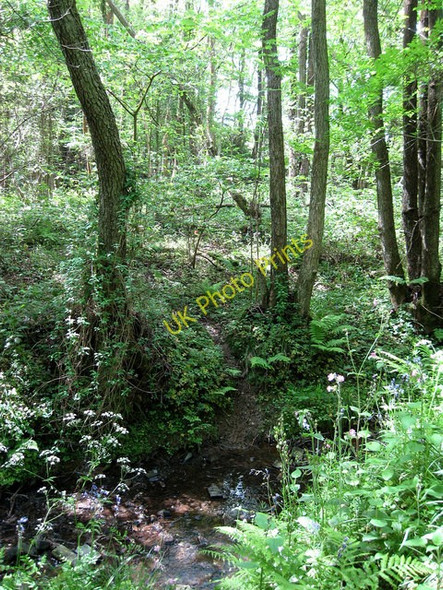Photo 6"x4" Stream Crossing, Cumming's Wood Heathfield\/TQ5821 c2009