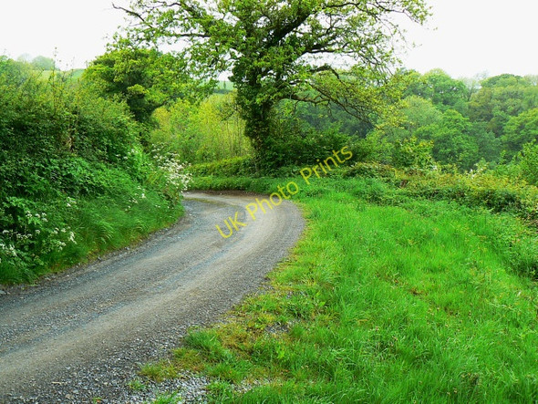 Photo 6"x4" Track to Castell, east of Llanddewi Velfrey Llanddewi Velfrey c2009