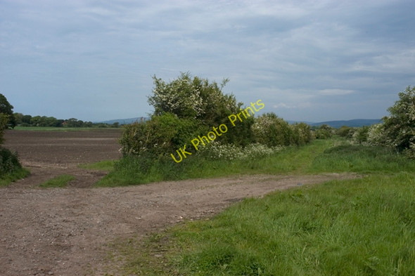 Photo 6"x4" Junction of Ashton Lane and Broad Lane Hale Nook c2009